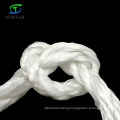 3 Strand Twisted/Twist White PP/Polypropylene Splitfilm/Split Film Rope for Europe, South America